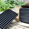 Seed Tray