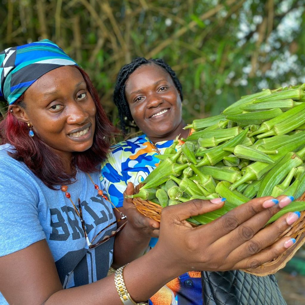 Okra farmers in Nigeria