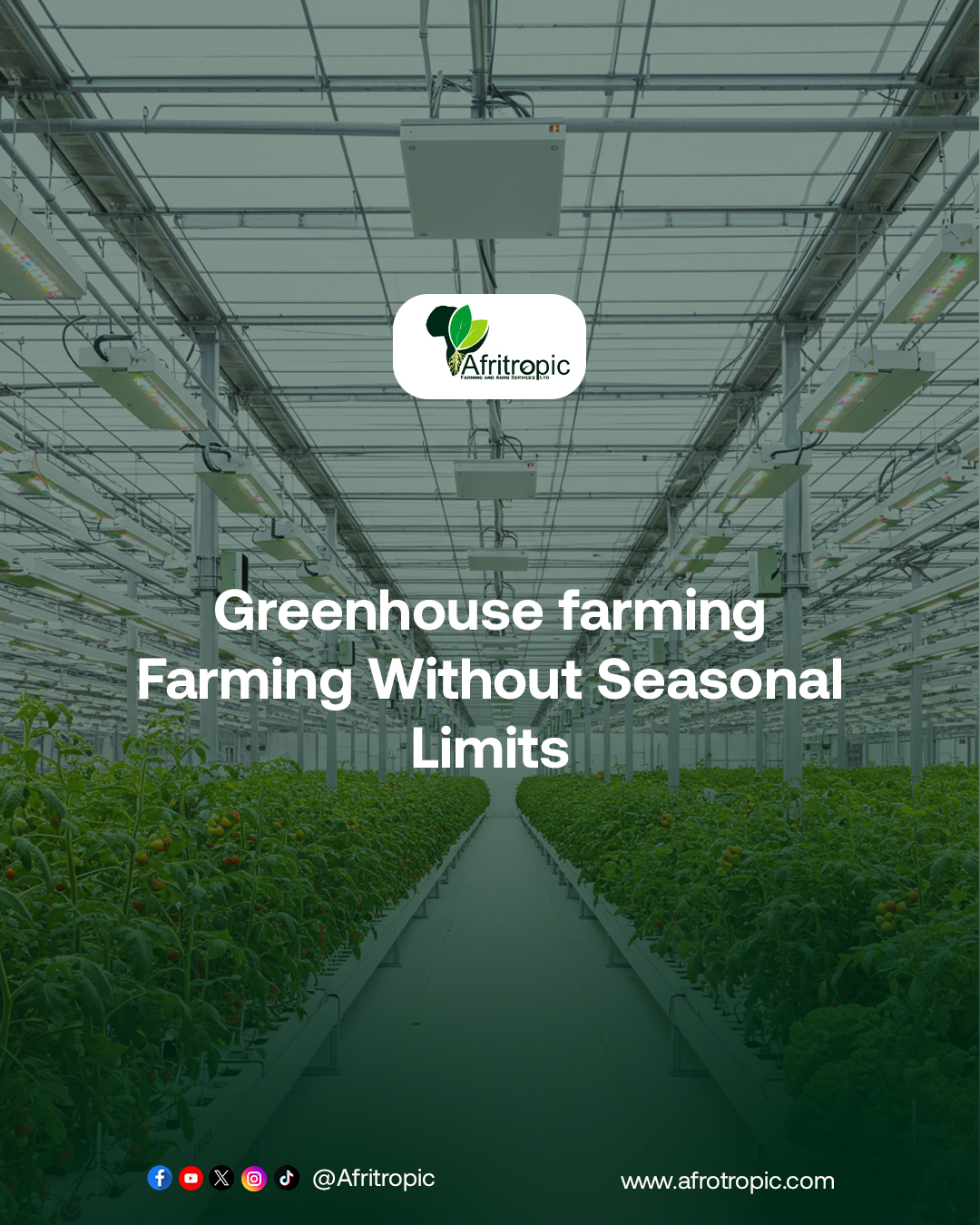Greenhouse in Nigeria