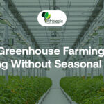Greenhouse Farming