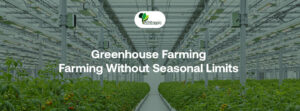 Greenhouse Farming