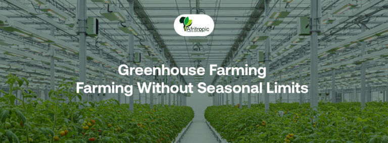 Greenhouse Farming