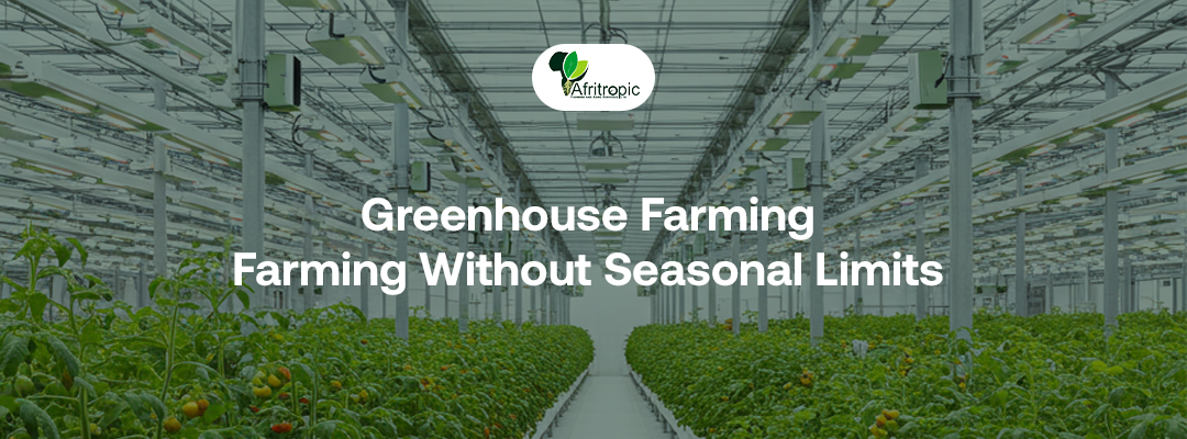 Greenhouse Farming