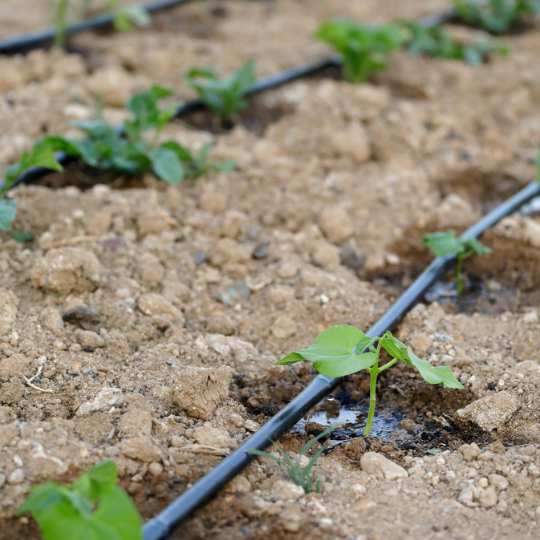 Afri-Irritech Drip Irrigation System